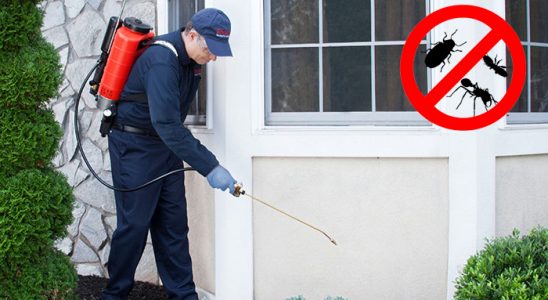 Feke Kene İlaçlama böcek ilaçlama ve haşere kontrolü — ilaclama-tr.com